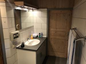 a bathroom with a sink and a mirror and a door at Seeschwalbe 240 in Mirow +7 photos