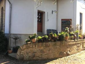 a brick wall with a bunch of potted plants on it at Sommerhof im Havelland in Nennhausen