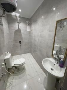 a bathroom with a toilet and a sink and a mirror at Le Caire Guest Houes Cairo in Cairo +23 photos