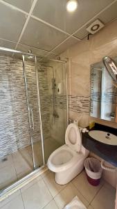 a bathroom with a shower and a toilet and a sink at Jawheret S Hotel Suite in Amman +26 photos