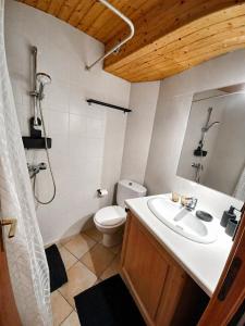 a bathroom with a toilet and a sink and a shower at Villa Silote in La Grave +13 photos