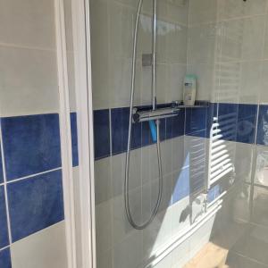a shower in a bathroom with blue and white tiles at La Colline aux Oiseaux in Tieffenbach +37 photos