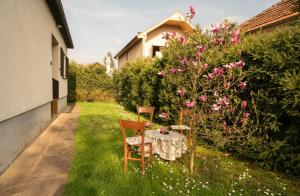 a table and two chairs in a yard with flowers at Smestaj Vanja in Arilje