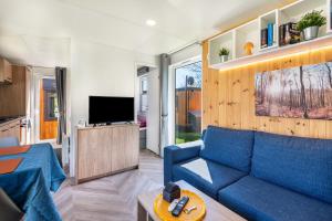 a living room with a blue couch and a tv at Haus Lotte und Frieda in Riedenburg