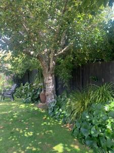 a tree in a yard with a bench under it at Private Retreat in Cambridge