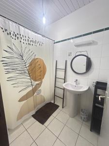 a bathroom with a sink and a mirror at Spacieux et lumineux Appartement T3 Cayenne in Cayenne