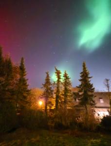 a group of trees and a house under the aurora at Treuberg Rooms - Cuxhaven Northside in Cuxhaven