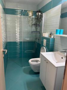 a bathroom with a toilet and a sink at Roso Seafront House in Selca kod Bogomolja