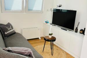 a living room with a couch and a flat screen tv at Tiny House Boddenblick in Groß Kordshagen