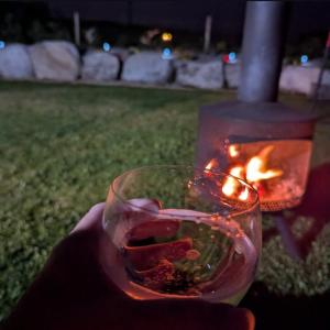 a person holding a glass of wine in front of a fireplace at Attymchugh Lodge in Corlee