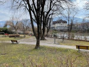 two park benches sitting next to a tree in a park at Innside - Terrace and Mountain Views in Innsbruck