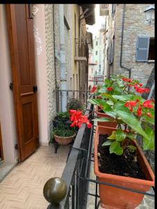 a balcony with plants and flowers on a building at La casa dei Nonni in Romagnese +4 photos
