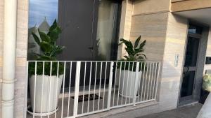 two plants in white pots on a balcony at Cerchio di Luce in Locorotondo