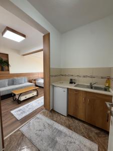 a kitchen with a sink and a living room at Ajan Apartments in Ulcinj
