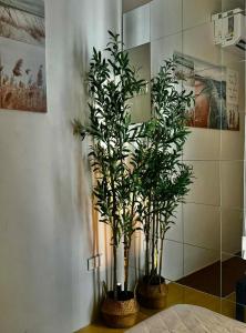 two plants in baskets in a room at Entire House with Parking, Full Kitchen and Near SRP, Seaside and Nustar in Talisay +5 photos