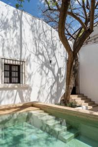 ein Gebäude mit einem Baum und einem Schwimmbad in der Unterkunft Gran Faena in Aguascalientes