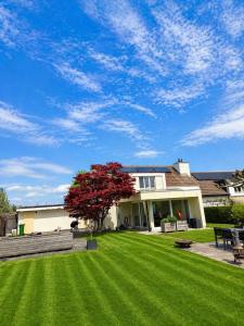 a house with a green yard with a tree at Stylish house with garden, sauna & pool in Mörschwil