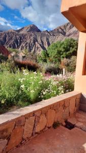 a field of flowers with a mountain in the background at Tinkunaco in Purmamarca