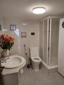 a bathroom with a shower and a toilet and a sink at Casa da Castanha Sernancelhe in Sernancelhe +48 photos