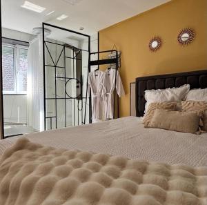 a bedroom with a large bed and a mirror at Ô Saphir Spa - Maison N2 in Denain