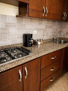 a kitchen with a stove and a sink at Salento verde in Salento +11 photos