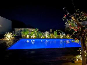 Ein beleuchteter Swimmingpool in einem Garten bei Nacht in der Unterkunft mrsbutt inn in Aka