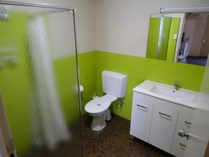 a green bathroom with a toilet and a sink at Paringa Hotel Motel in Renmark +13 photos