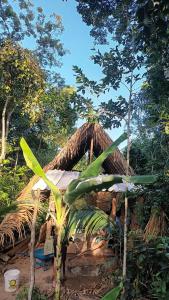 a straw hut with a thatched roof in a forest at Camping AlterArte Ecovila in Santarém