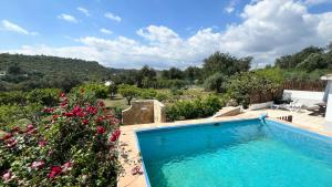 ein Swimmingpool in einem Garten mit Blumen in der Unterkunft Quinta dos Netos in Tavira