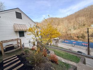 a house with a tree in the yard next to a street at Completely renovated for you Mountain View Cottage in Charleston