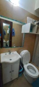 a bathroom with a toilet and a sink and a mirror at Studio Monoambiente Urbano en radar centrico,completo y funcional con Alexa in Ushuaia