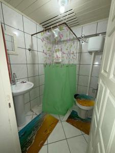 a bathroom with a toilet and a green shower curtain at Casa Miguel in Lauro Müller