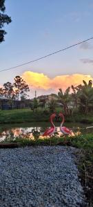 two pink flamingos standing in the water at sunset at Chalé in Alfredo Wagner