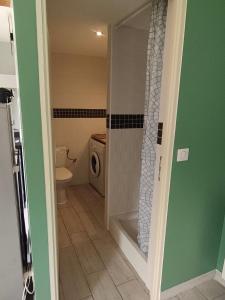 a bathroom with a shower and a toilet in it at Studio Les Restanques in Montbrun-les-Bains