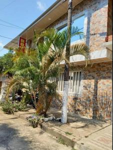 a palm tree in front of a house at Hotel El Escorpión in Melgar