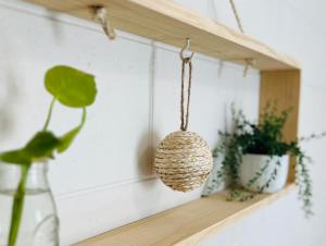 a shelf with potted plants and a hanging basket at 'Your Place on Davidson' in Mount Isa +12 photos