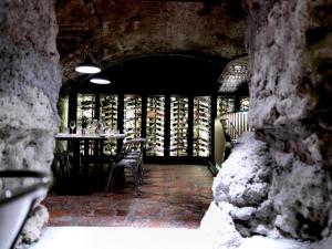 artHotel Blaue Gans v zime