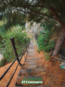 a painting of a stairway leading down a hill at Glamping Centauro in Tota