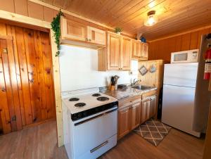 a kitchen with a white stove and a refrigerator at 2BR 1BA Cabin #2 Riverside Point Resort in Park Rapids