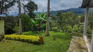 a bench in a garden with a view of the mountains at Refugio en la naturaleza in La Vega