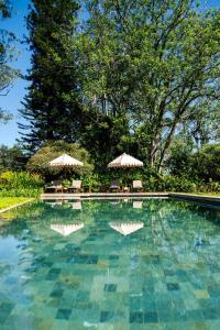 a swimming pool with chairs and umbrellas at Nine Skies By Teardrop Hotels in Ella