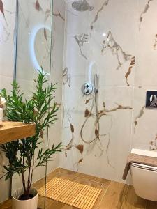 a shower in a bathroom with a plant at Zoe’s sea view in Pylos +52 photos