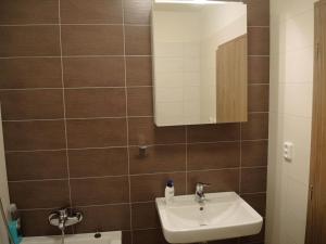 Fotografia z galérie ubytovania Apartmány na Dolní Moravě v destinácii Dolní Morava