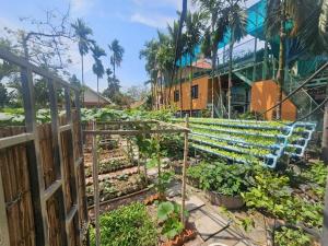 a vegetable garden with a blue bench in front of a building at Nomad Guesthouse by Buntha in Phumĭ Réach Born (2)