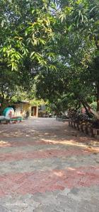 a park with a bench and a tree with leaves at Hotel Saffron Indian Spice Resort in Chitrāwal