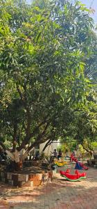 a tree with people laying on the ground under it at Hotel Saffron Indian Spice Resort in Chitrāwal