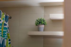 Fotografie z fotogalerie ubytování Petra Thea Apartments 2 v destinaci Kalamata