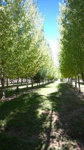 Φωτογραφία από το άλμπουμ του Cabañas Uspallata σε Uspallata