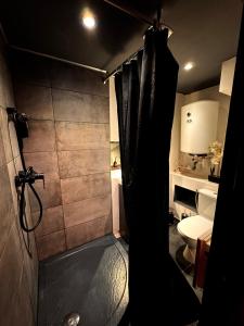a bathroom with a shower and a toilet at Suite XOXO in Souppes-sur-Loing
