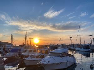 a group of boats docked in a marina at sunset at Vojko Holidays - Rustika in Koper